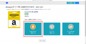 Bitでマネー購入画面2