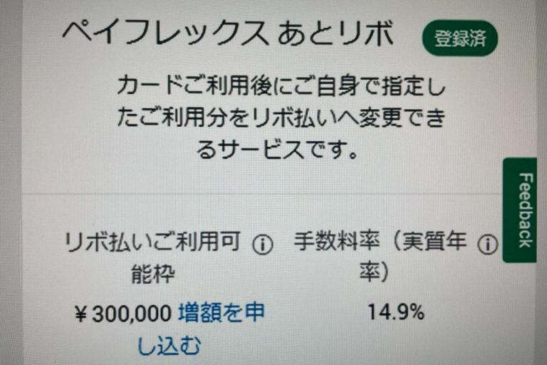 アメックスペイフレックス