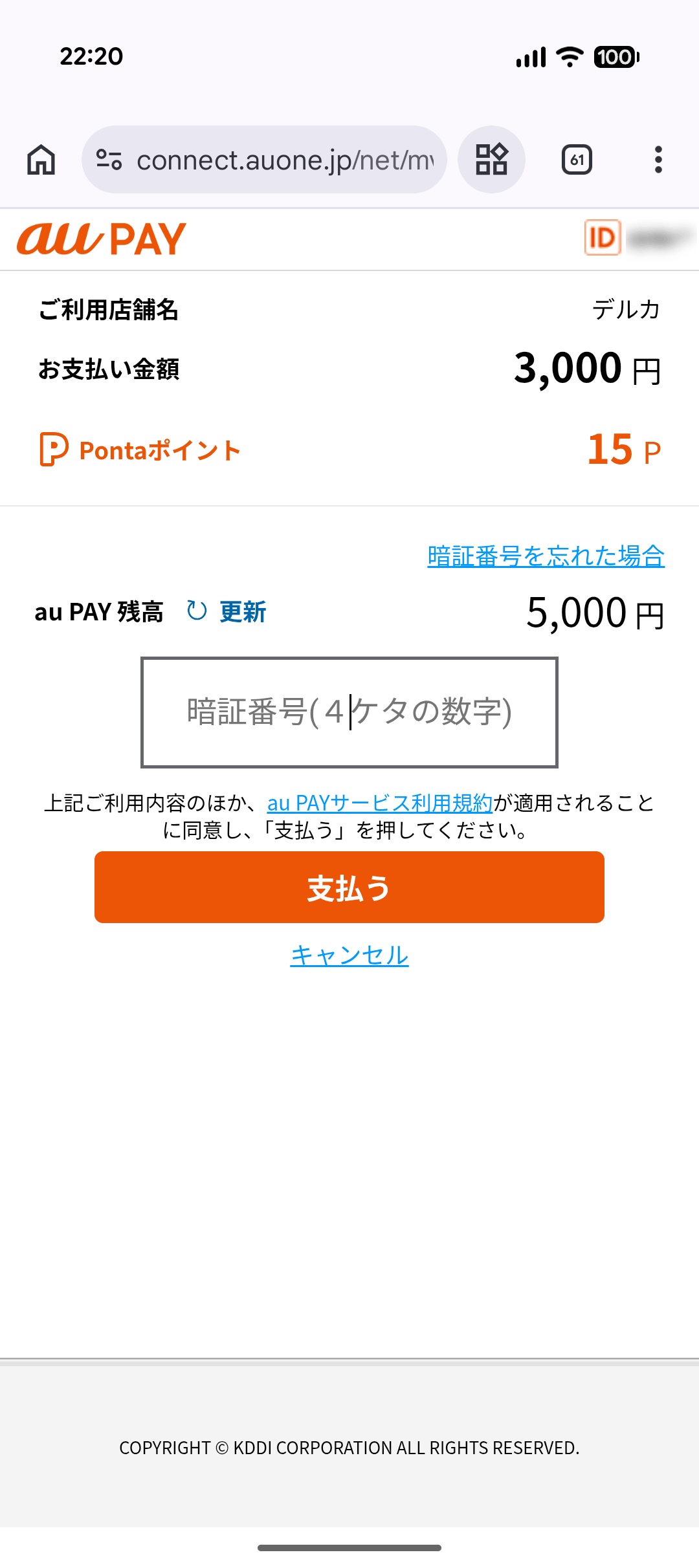 auPAY支払い デルカ購入