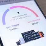 ペイディApple専用 iphone