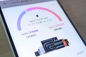 ペイディApple専用 iphone